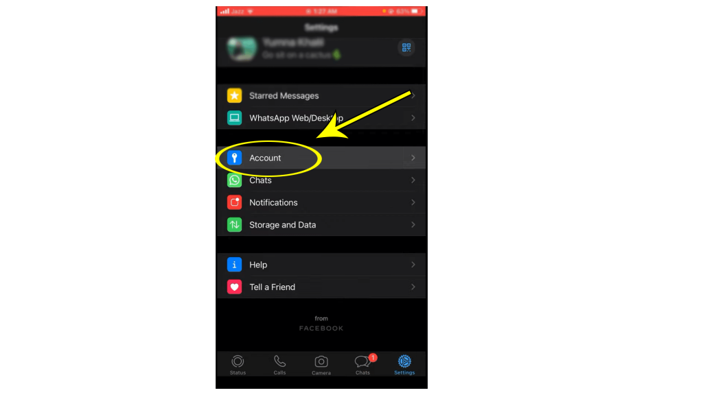 Hide WhatsApp chat on iPhone